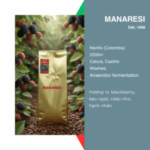 Manaresi Mora ( note hương blackberry)