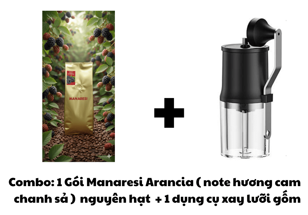 Manaresi Mora ( note hương blackberry) - Ảnh 3